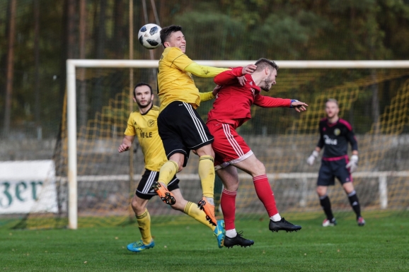 Greifen gewinnen Pokalspiel in Bützow !