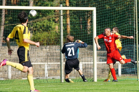 Greifen gewinnen Derby  3:0 !