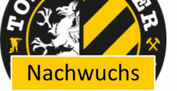 E-Jugend unterliegt im Spitzenspiel
