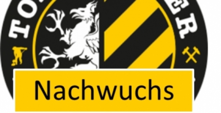 E-Jugend unterliegt im Spitzenspiel